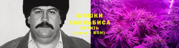 первитин Богданович