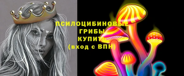 mix Богородск