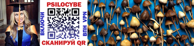 kraken сайт  продажа наркотиков  Топки  Галлюциногенные грибы Magic Shrooms 